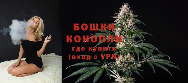 спиды Елизово