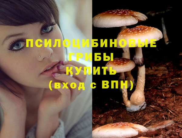 таблы Елабуга