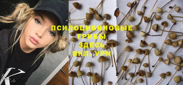 спиды Елизово