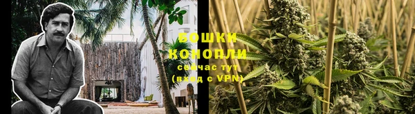спиды Елизово