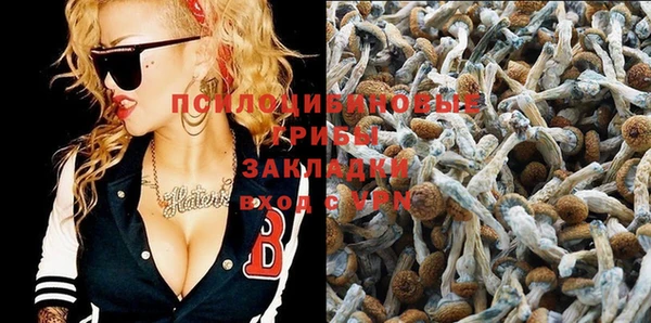 таблы Елабуга
