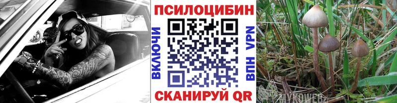 Псилоцибиновые грибы Psilocybine cubensis Воронеж