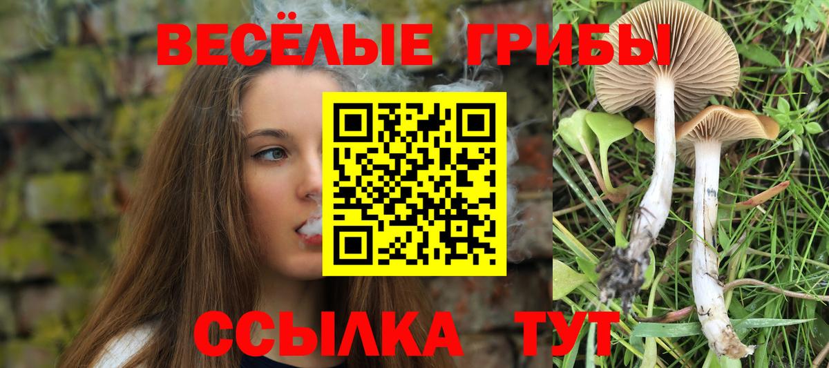 Галлюциногенные грибы ЛСД Воронеж