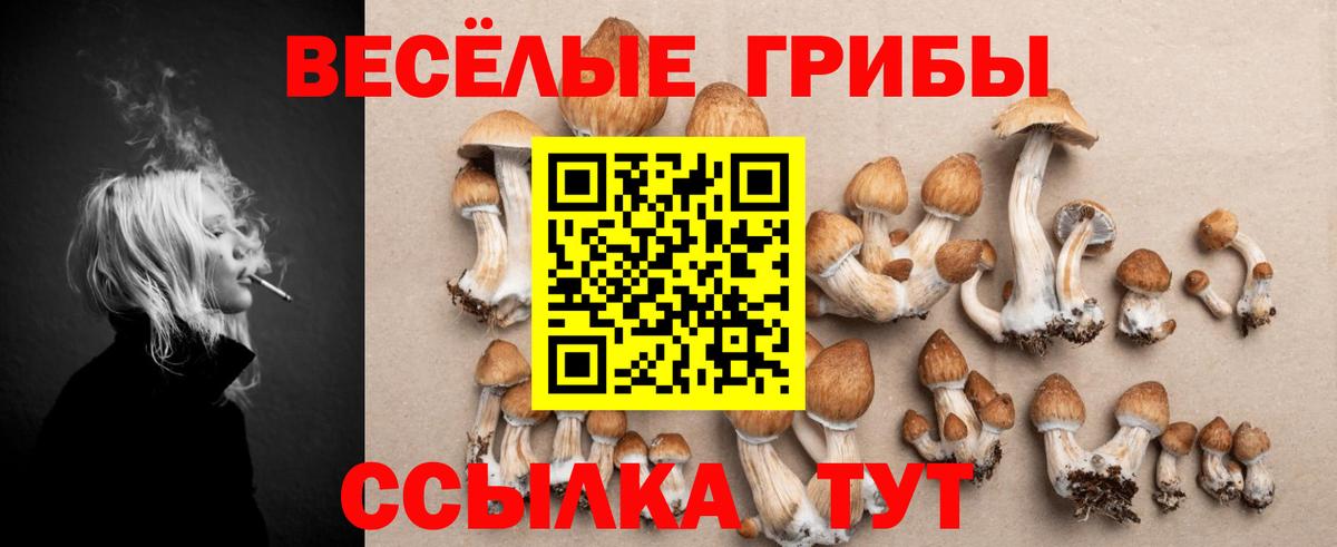 Воронеж  Псилоцибиновые грибы Cubensis  Псилоцибиновые грибы Psilocybine cubensis  Вход с VPN 